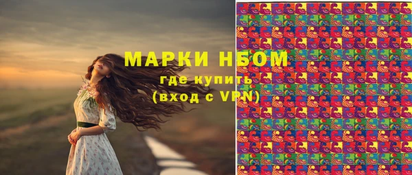 стафф Алзамай