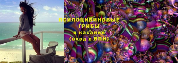 стафф Алзамай